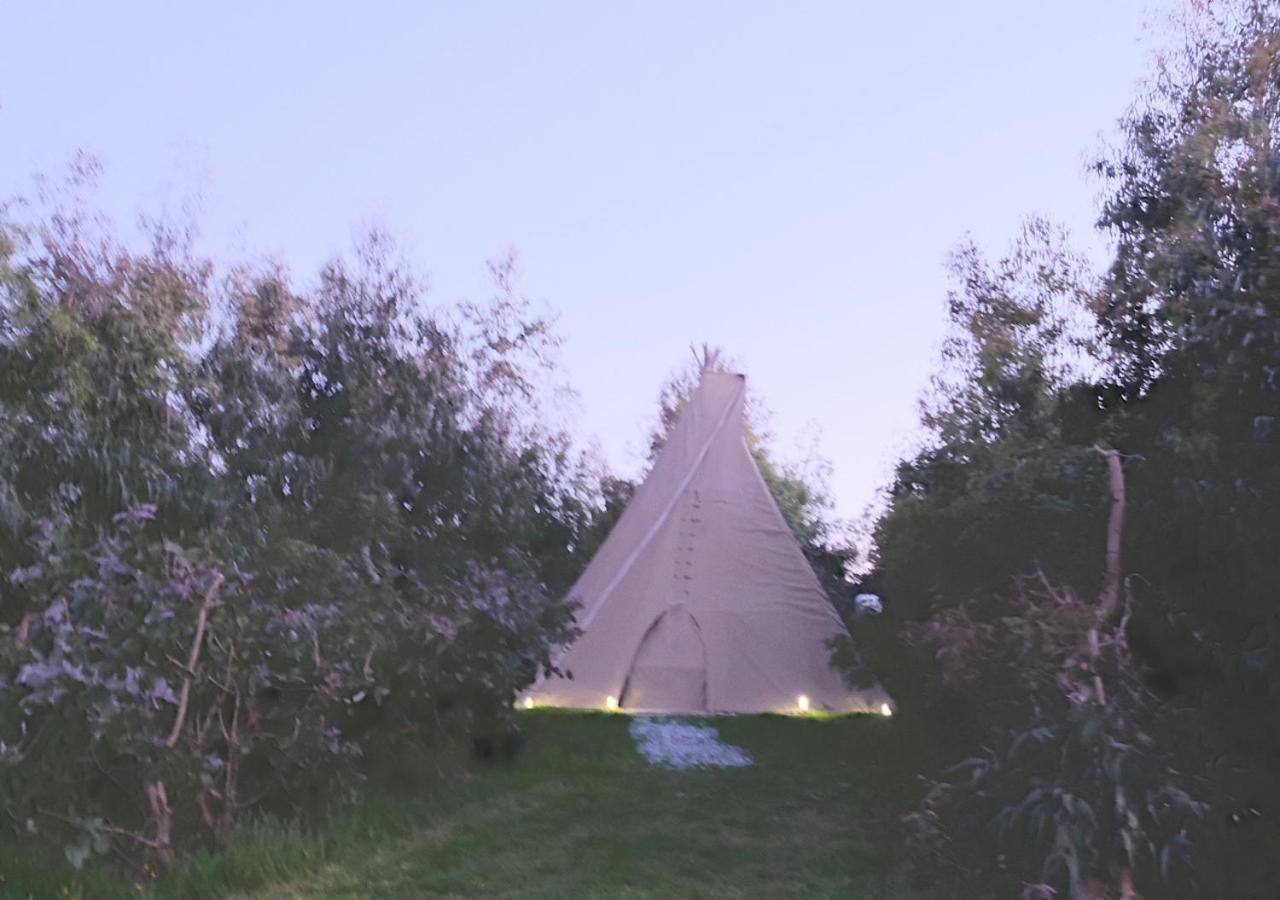 Gumtree Tipis Hotel Bickington Exterior foto